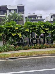 Sunrise Avenue (D28), Terrace #504475611